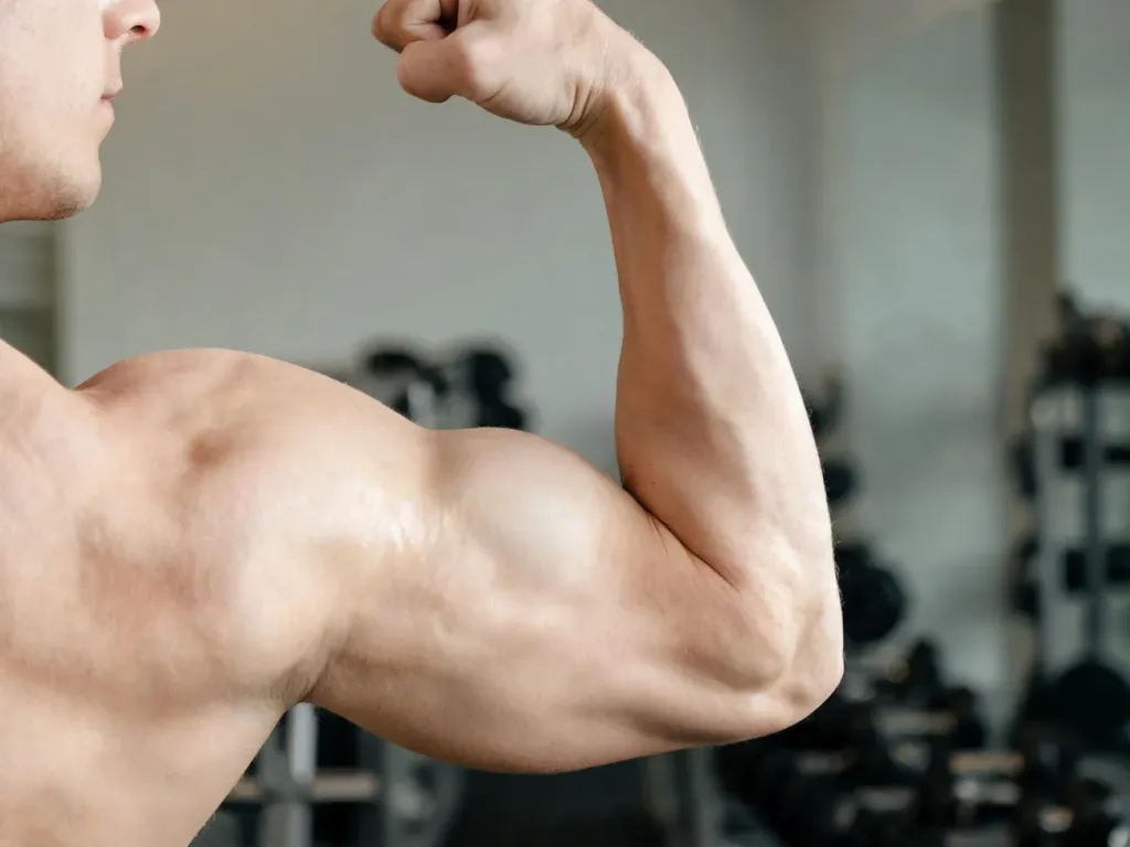 Zbliżenie umięśnionego ramienia mężczyzny w siłowni, z wyeksponowanym bicepsem podczas lekkiego ugięcia.
